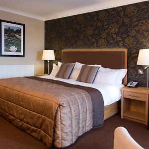 Luxury King Room